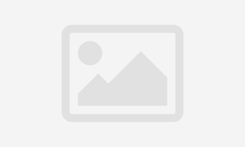 MODULE 2: Skills Experts